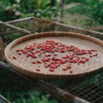 hidden gems: alamat geprek bensu jakarta in the city